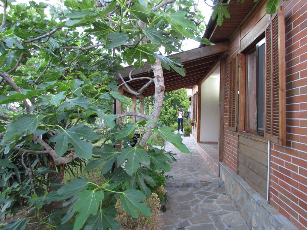 Villas And Bungalows Panorama Tschernomorez Exterior foto