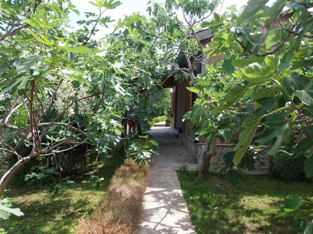 Villas And Bungalows Panorama Tschernomorez Exterior foto